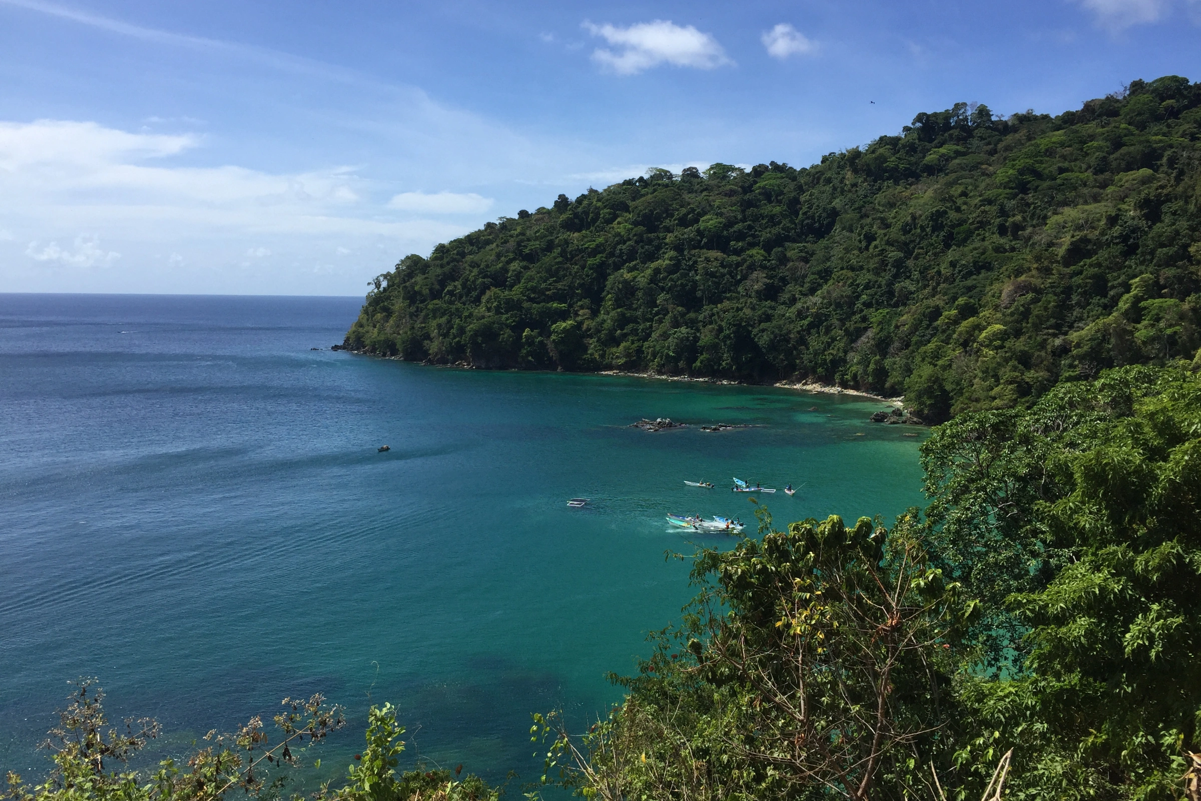 Tobago_Island[1].webp
